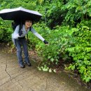 명선경로당 이미지