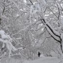섬마을바다