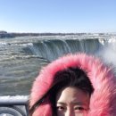 빈이네농장 | [미국여행] 뉴욕NY🇺🇸 8박10일 EP.1 | 워싱턴DC, 캐나다 나이아가라투어