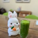 자연당 | 들꽃효소마을단식원 후기 - 갑상선과 당뇨로 지친 몸, 9일 녹즙단식으로 회복의 전환점을 만나다