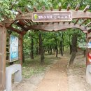 서광홈마트 | 평화누리길 5코스 킨텍스길 걷기 후기