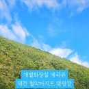 월악아지트캠핑장 네이버블로그