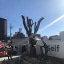 황령산주유소 이미지