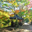 도솔쉼터 이미지