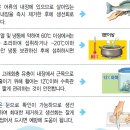 고래뜰