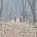 하늘재길 이미지