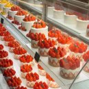 강남(205) 이미지