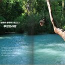 보림축산 이미지