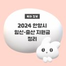 2024 안양시 임신·출산지원금 혜택 알아보기