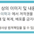 참편한마취통증의학과의원 이미지