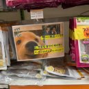 펫클럽 양정점 이미지