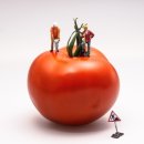 토마토스토리 이미지