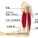 예쁜여자멋진남자 - 영월군 | 예쁜여자멋진남자