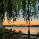 에코풀하우스 이미지