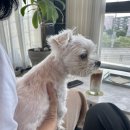 9.4일상