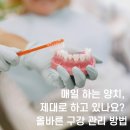 올바른 건강검진법 | [신설동역헬스장] 🦷 치아 건강 지키는 올바른 구강 관리법