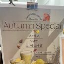 꽁테드빌레(contedeville) 이미지