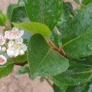 풍경시골 이미지