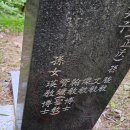서영교 법사위원장 조모 명당 이미지