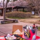 협동공원 | 2026 군산 은파호수공원 벚꽃 야시장 총정리 및 작년 후기