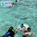 (주)홀로섬닷컴 | 필자닷컴 세부 호핑투어 액티비티 후기