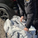 깊이울마을캠핑장 | #16: 포천 깊이울캠핑장