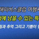 해피버스클럽여행사 이미지