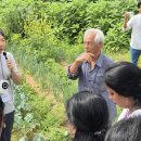 산마을 양계장 이미지