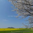 학원목장 이미지