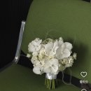 W. 대구 드레스｜모니카블랑쉬 본식 후기(부케, 헬퍼)