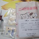 24시건국본동물병원 네이버블로그