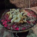 월출산 품은 힐링 캠핑, 영암 국민여가캠핑장 리뷰 (반려견 동반 가능)