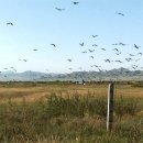 마이 플레이스 이미지