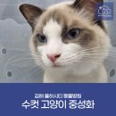 율하시티동물병원 이미지