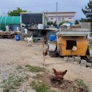 샌드힐식당 이미지