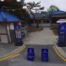 원조중원탑막국수(충북도청점) 네이버블로그