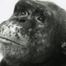 gc-camera-040 이미지