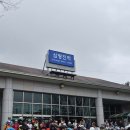 자전거여행 | 벚꽃 라이딩 어디 갈까? 밀양 여행공방 자전거 투어 후기