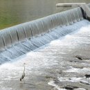 거창-위천-6 이미지