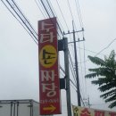 손짜장면을아시나요