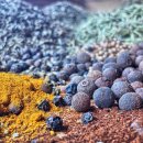 웰빙 발효빵 이미지