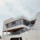 데이바이디 이미지