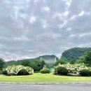 한탄강 CC 골프연습장 이미지