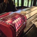 숲속 나들이 펜션 이미지