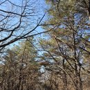 성동사거리 이미지