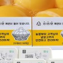 초이스템유통