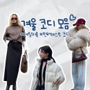 핀터레스트 감성 그대로! 지그재그 내돈내산 겨울 찐추천템 5가지