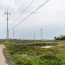 풍차다방 이미지