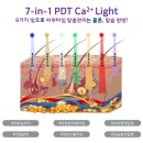 오로라 스킨테라피