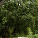 동락점빵사회적협동조합 이미지